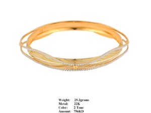 bangle17